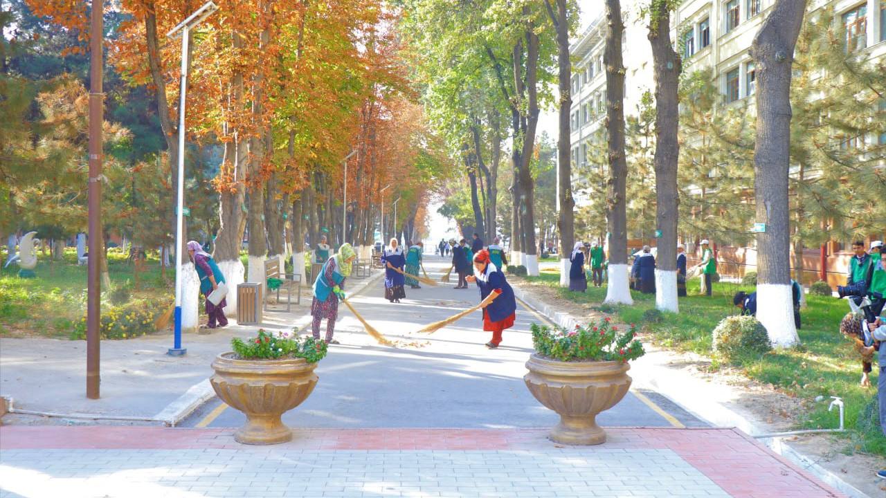 Yashil universitet